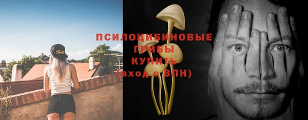 соль курить ск Заполярный