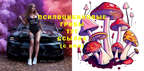 гашиш Бородино