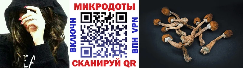 Псилоцибиновые грибы GOLDEN TEACHER  закладка  Макаров 